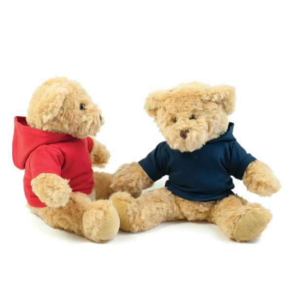 Teddy hoodie Thumbnail
