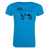 AWDis Ladies Cool T-Shirt Thumbnail