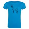 AWDis Ladies Cool T-Shirt Thumbnail