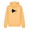 Unisex Cruiser 2.0 iconic hoodie sweatshirt (STSU177) Thumbnail